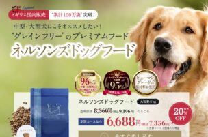 ネルソンズドッグフードの販売に関する口コミ・評判